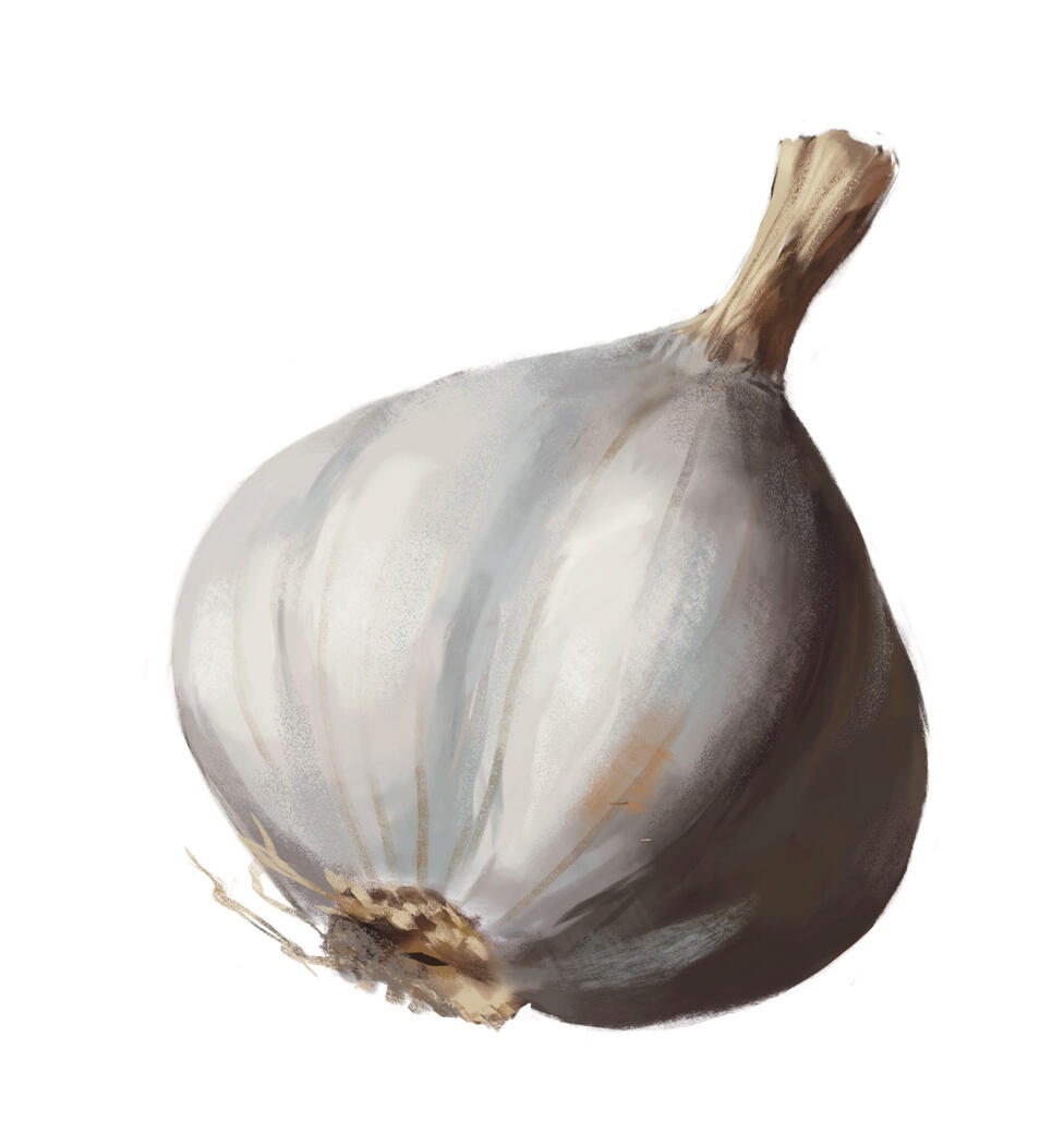 Garlic, 2024, Digital Art